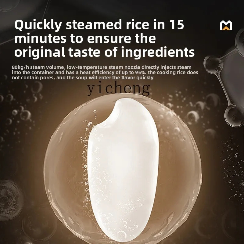 Forno a vapore per apparecchiature multifunzionali a gas naturale con riscaldamento elettrico a vapore commerciale in acciaio inossidabile TQH