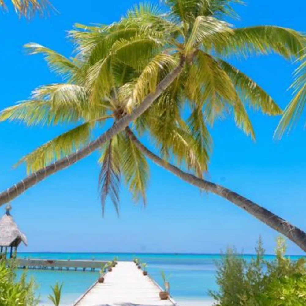 

NEEBRC 2814 1000KV Outrunner Бесщеточный двигатель 2-3S 20A ESC Combo для фиксированного крыла FPV Racing Drone Самолет Квадрокоптер Мультикоптер