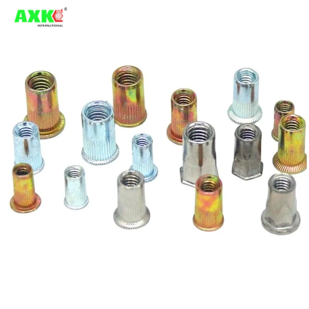 50Pcs Flat Head Riv…