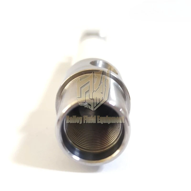 249125 reserveonderdelen keramische vergrote zuigerstang voor 490 GRC airless spuitcomputerpomp