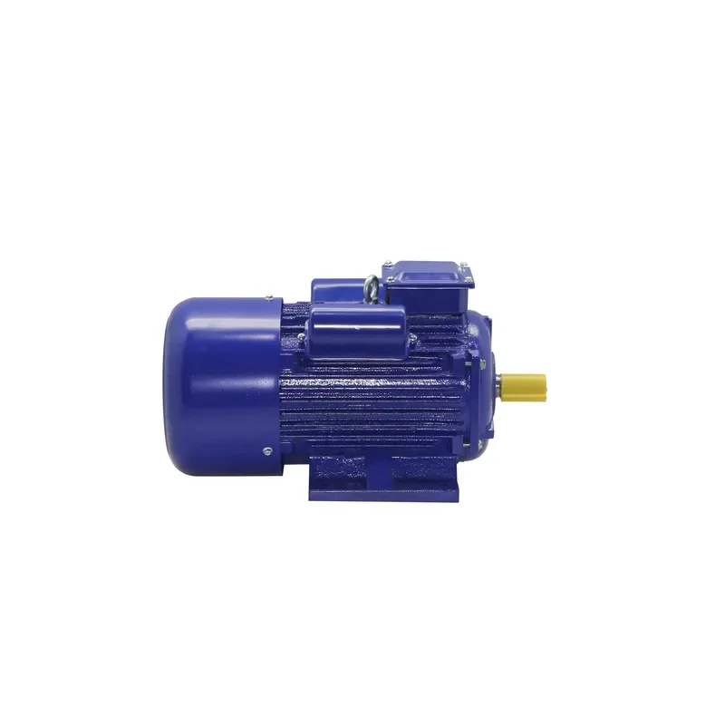 Custom Logo Single Phase Capacitor Start Motor 220V 50Hz YC Series Induction Motors OEM ODM