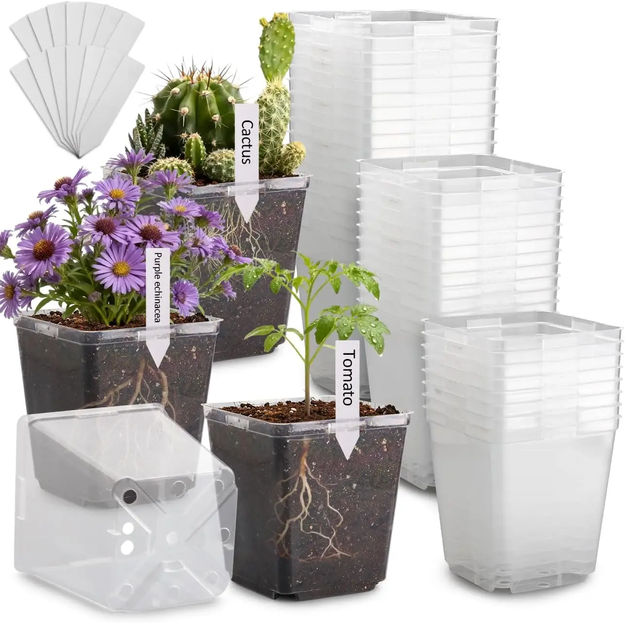 

5.5 Inch Clear Square Nursery Pots with Drainage & Labels, 30Pcs Reusable Seed Starter Pots for Vegetables, Indoor Outdo