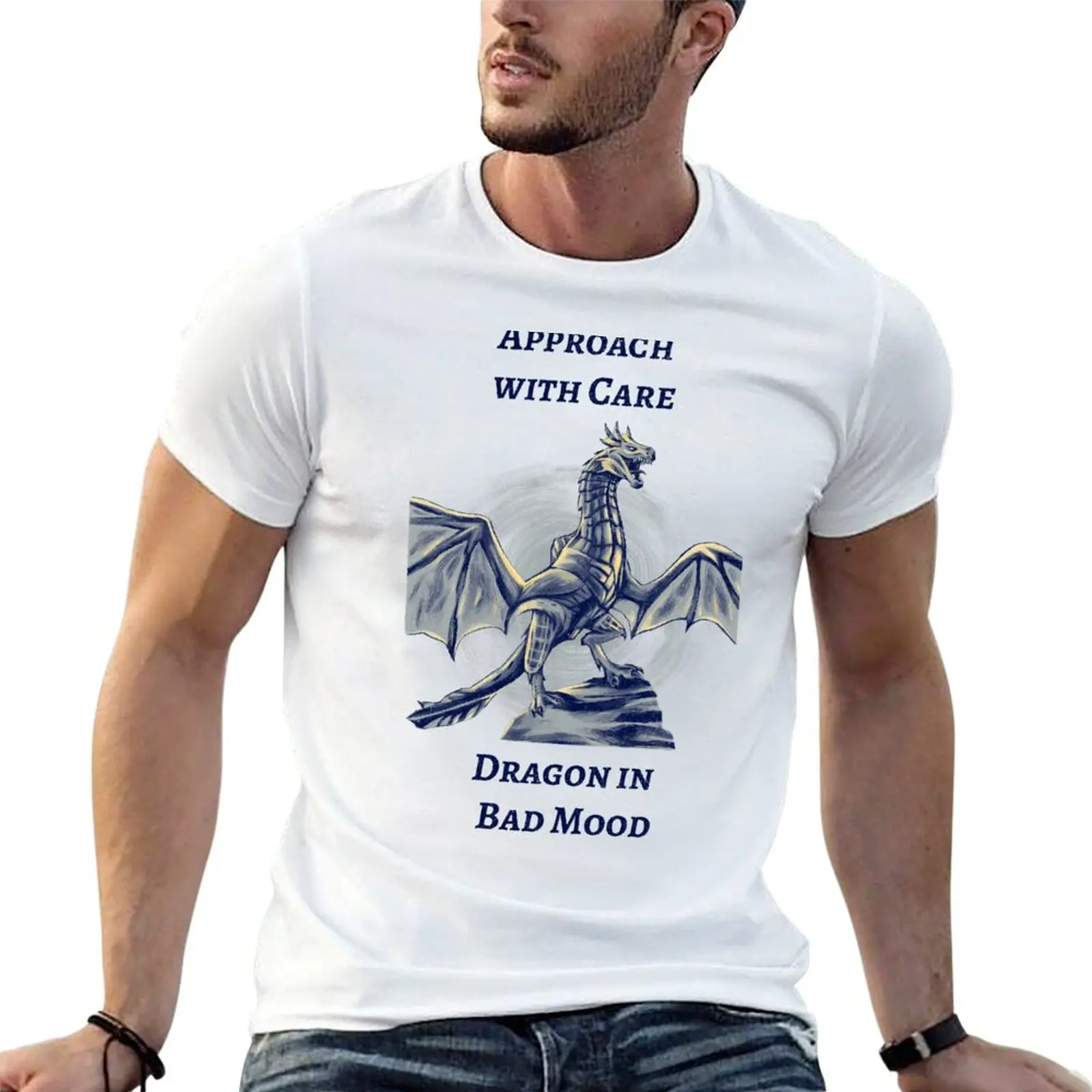 Approach With Care Dragon In Bad Mood Angry Dragon T-Shirt Casual Work Wear T-Shirt
