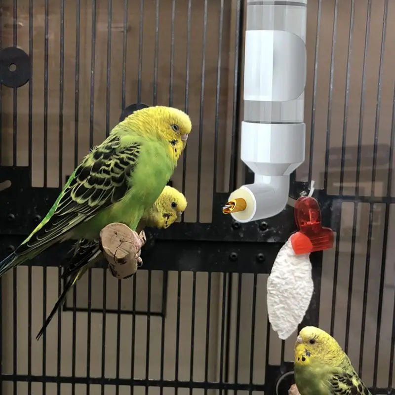 Birds Water Feeder Automatic Bird Cage Suspended Parakeet Water Dispenser for Cage Budgie Drinker Bottle Acrylic Parrot Drinker