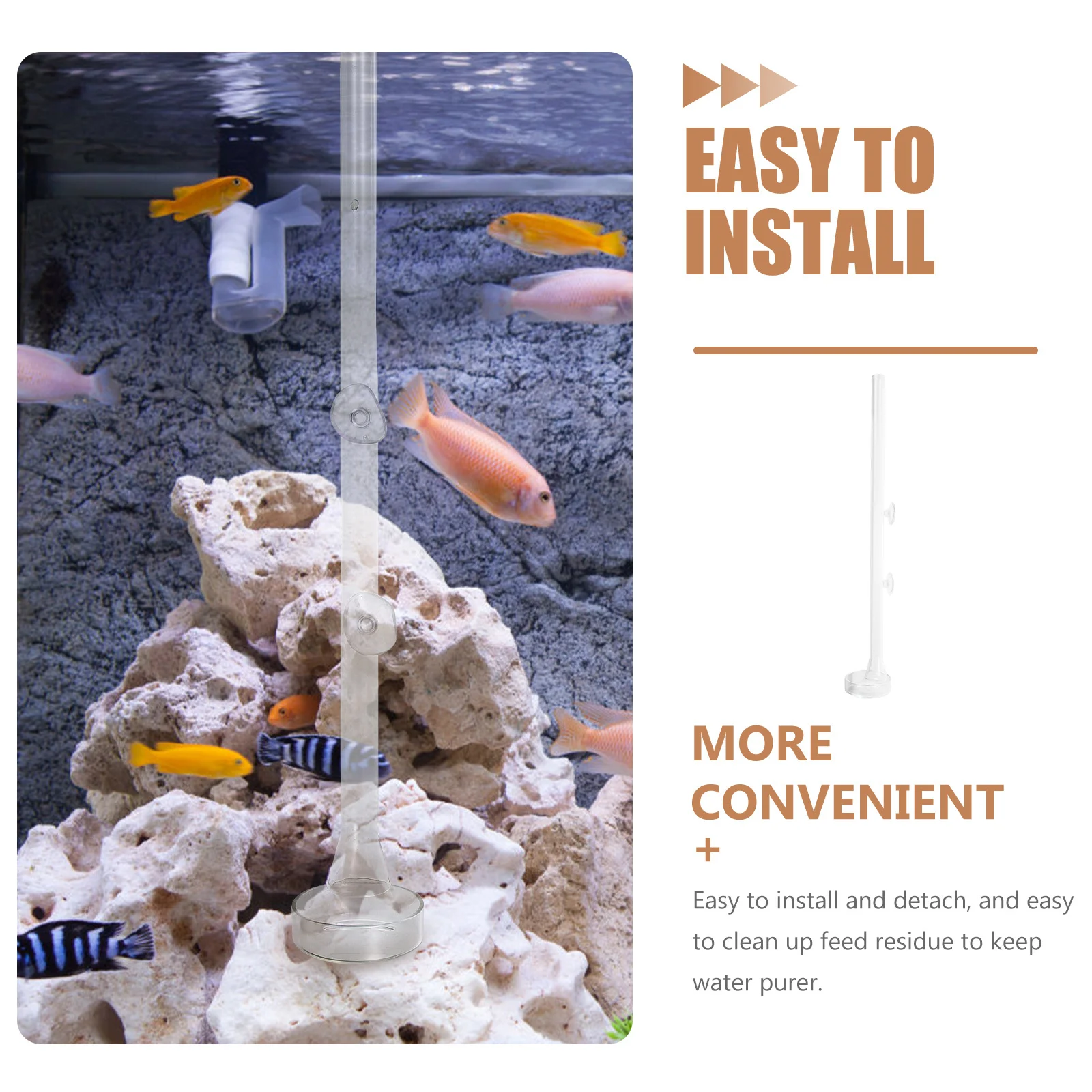 

1Set Fish Feeder Shrimp Feeding Tube Glass Material Easy Clean Aquarium Tank Shrimp Feeder Aquarium Glass Fish