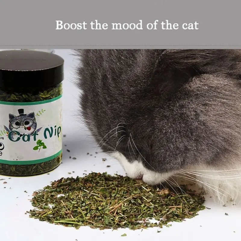 Pet Dental Care Mints for Cat Mint Treats for Cat for Fresh Breath Catnip Treats 0.18 oz for Pet for Cat Healthy Teeth