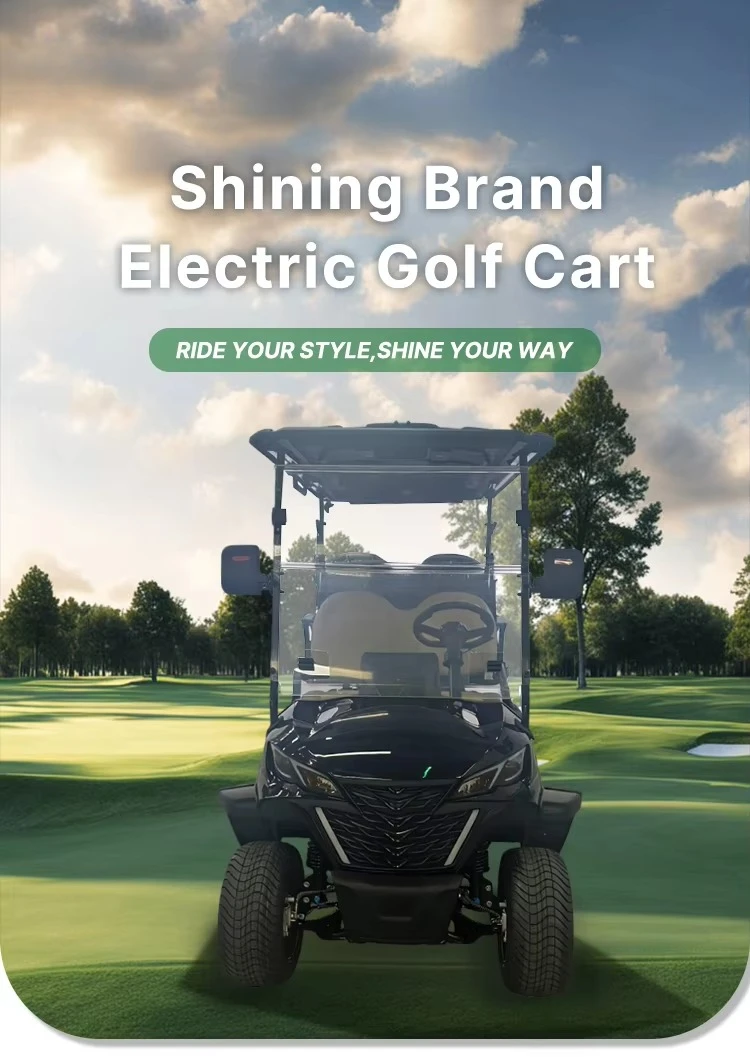 lsv Smart Electric Golf Cart 4 Seater with 48V/72V Battery 5KW AC Motor Street Legal 50-70km/h Speed 90km Range