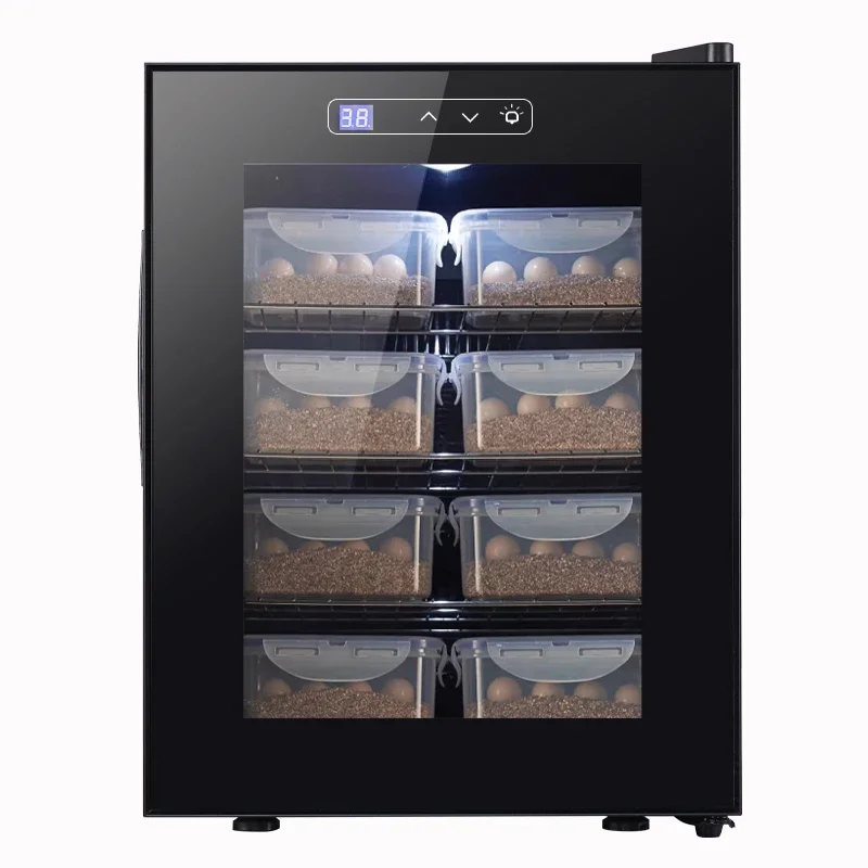 Full Automatic Hatched Turtle Eggs 33L Tortoise Turtle