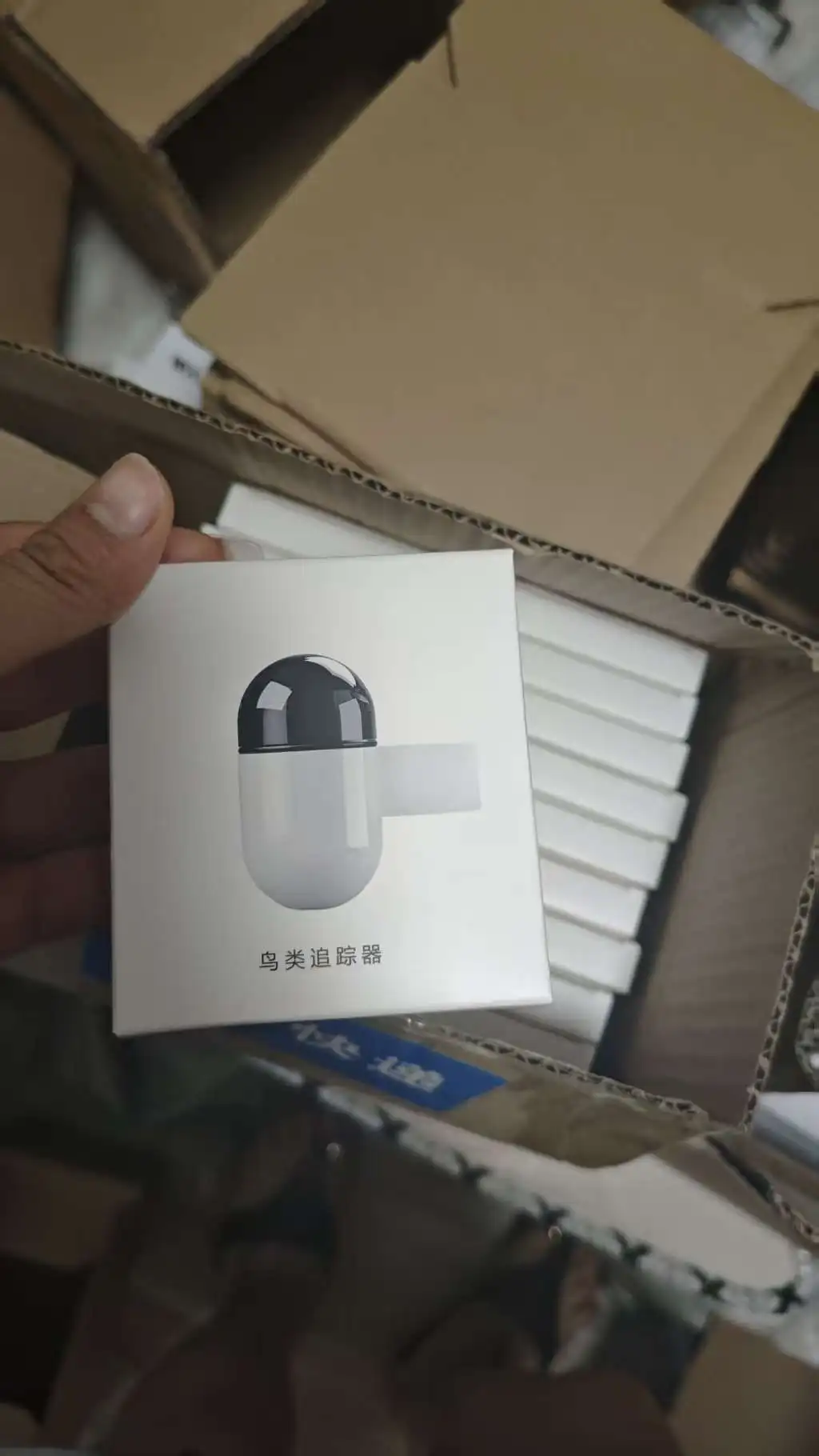 Latest hot-selling real-time, bird locator with BLE active technology