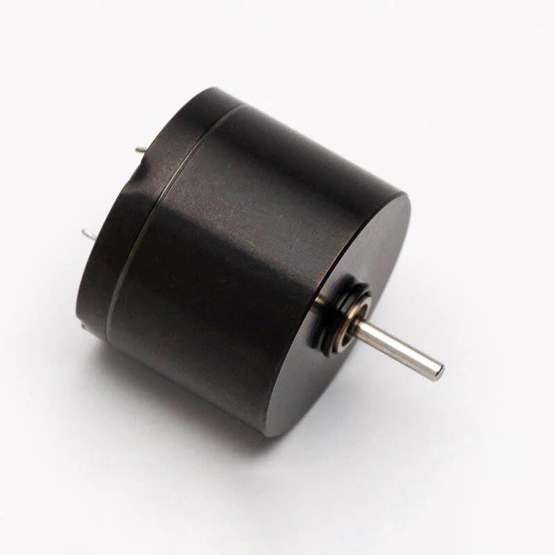 Imagem -04 - Grande 20 mm 16 mm Coreless Motor Dc12v 12000rpm de Alta Velocidade Forte Magnético Baixo Ruído Duplo Rolamento de Esferas para a Máquina da Tatuagem 1pc