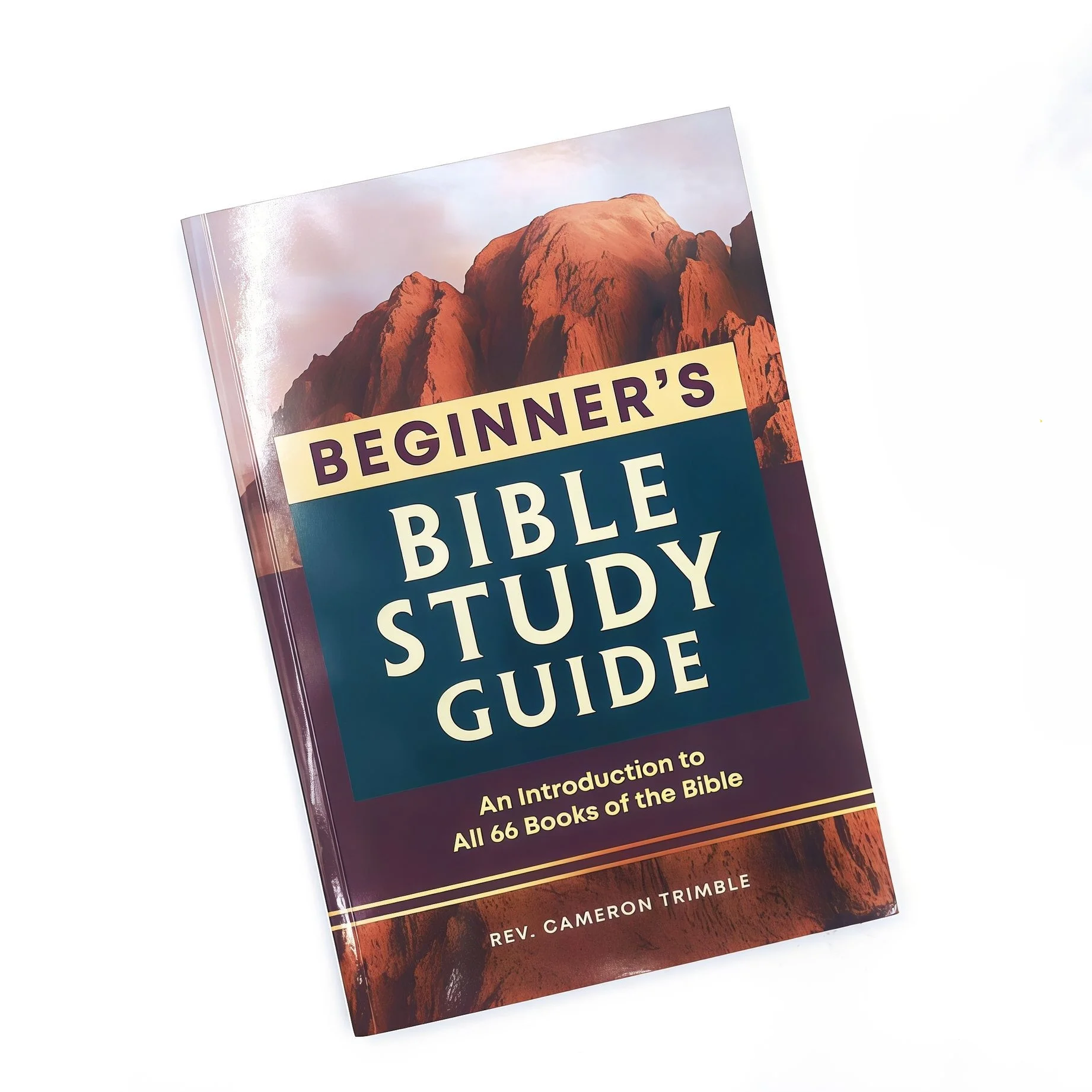 

Beginner's Bible Study Guide: An Introduction To All 66 Books Of The Bible
