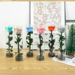 스템 천연 Aeonium이 있는 신선한 진짜 장미, 여성용 싱글 장미, 오래 지속되는 꽃다발, 생일 선물, 발렌타인 데이 선물, 1 개
