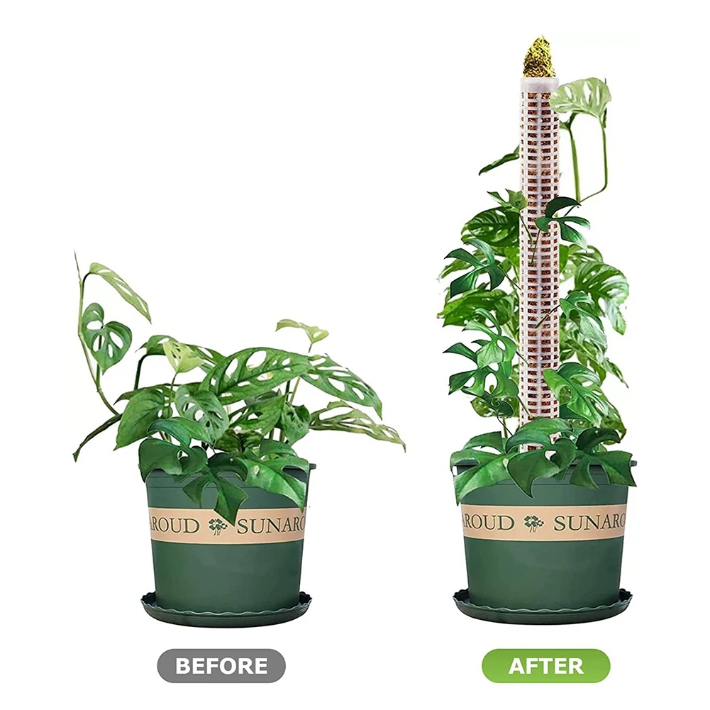 植物用プラスチックモスポール、透明メッシュ、小イワシ、モンステラポットプラント、6個、15インチ