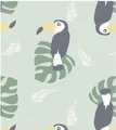 Toucan