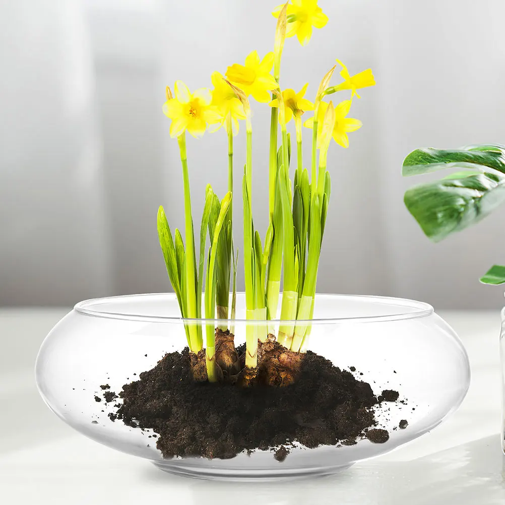 

Succulent Planter Glass Flowerpot Clear Round Aquarium Small Fish Bowl Desktop Decoration Home Garden Office Succulent Planter