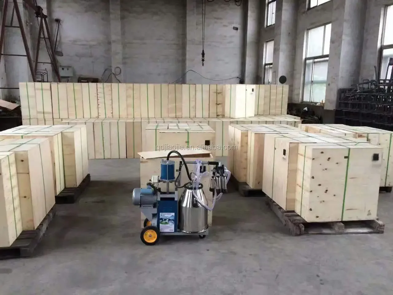 Stainless Steel Portable Cow Milking Machine For Sale