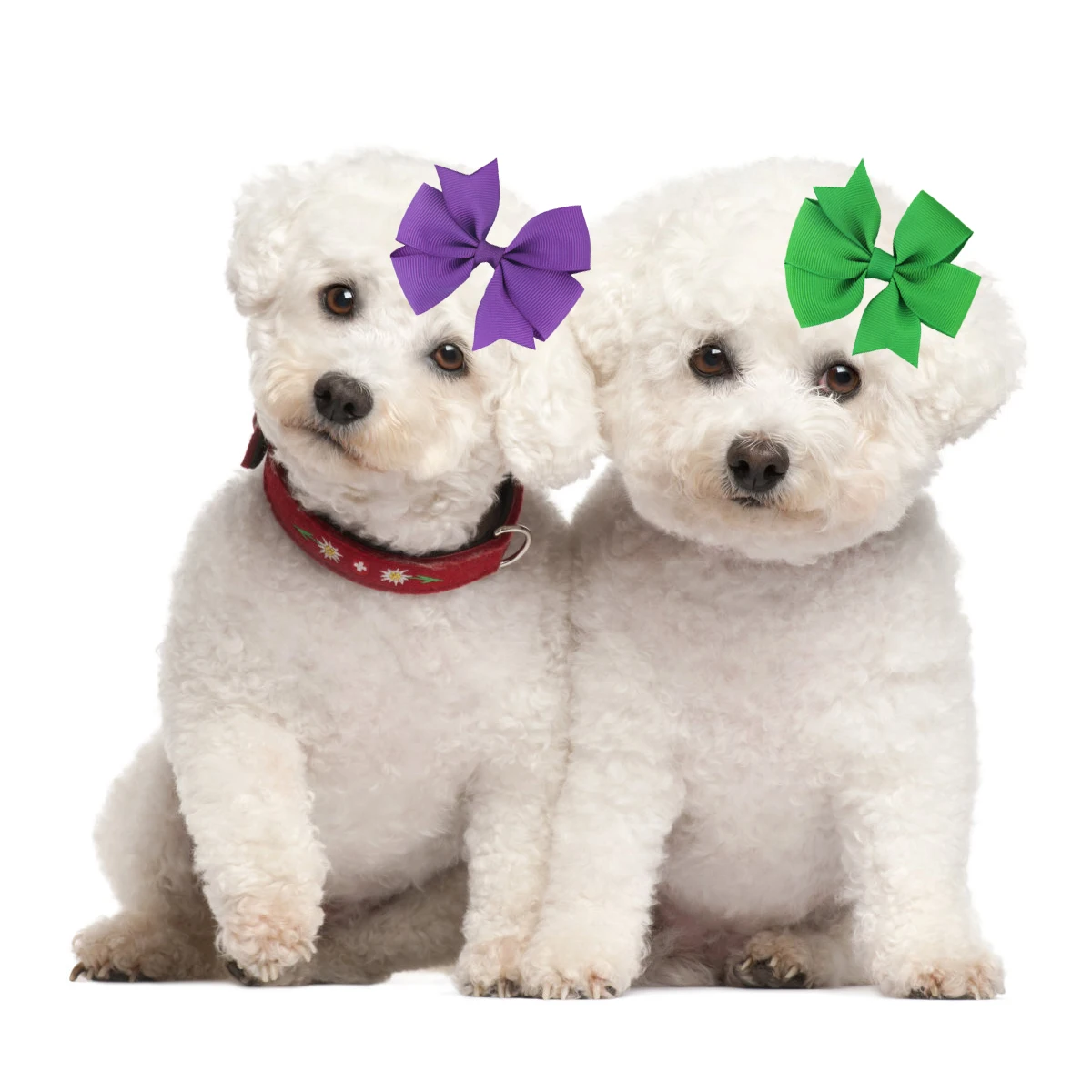 50/100PCS Large Dog Hair Clips Bows Pet Dog Hair Bows Diamond Small Dog Hair Accessories Dog Grooming Accessories