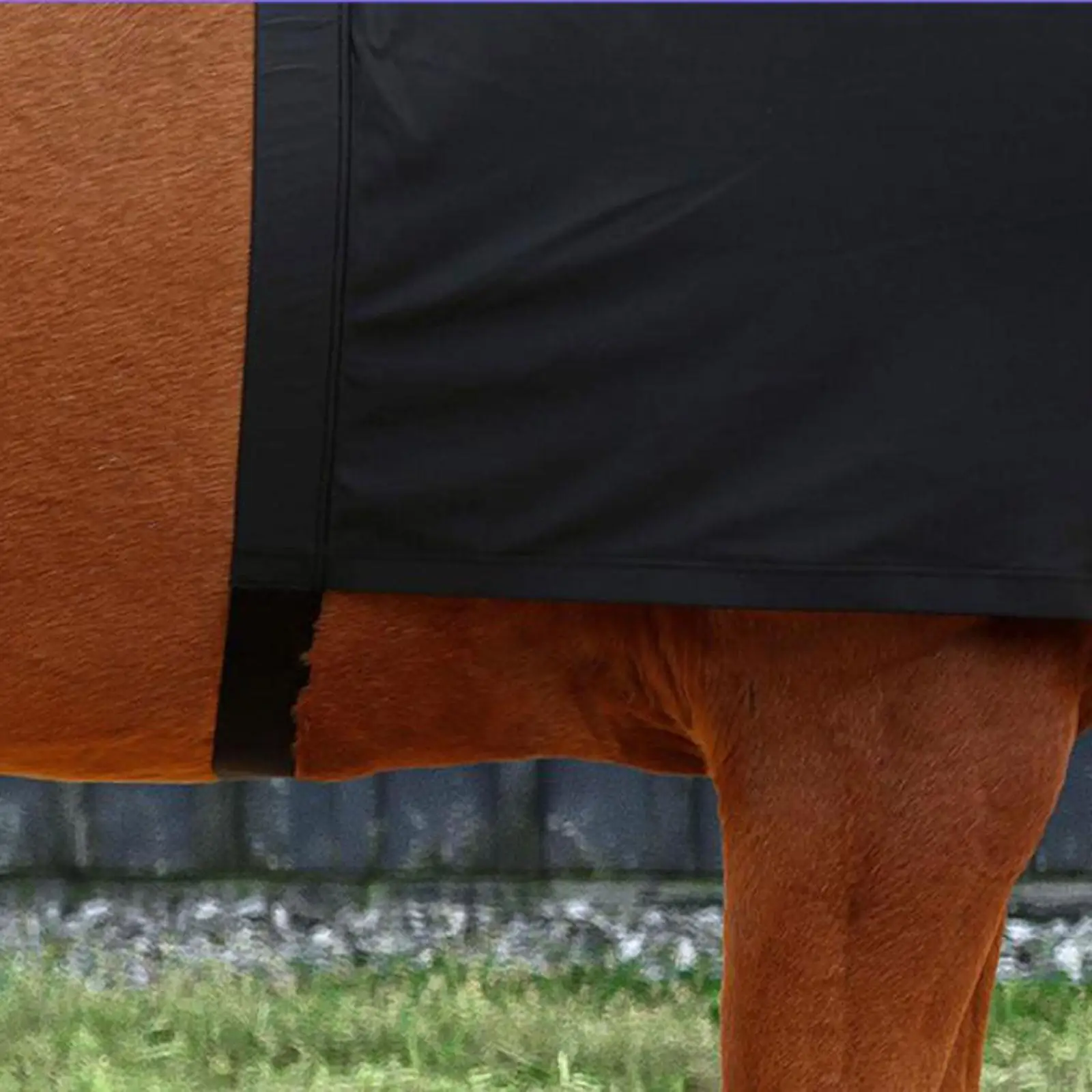 

Horse Shoulder Guard Practical Fitting Easy to Install Reusable Anti Rub Bib