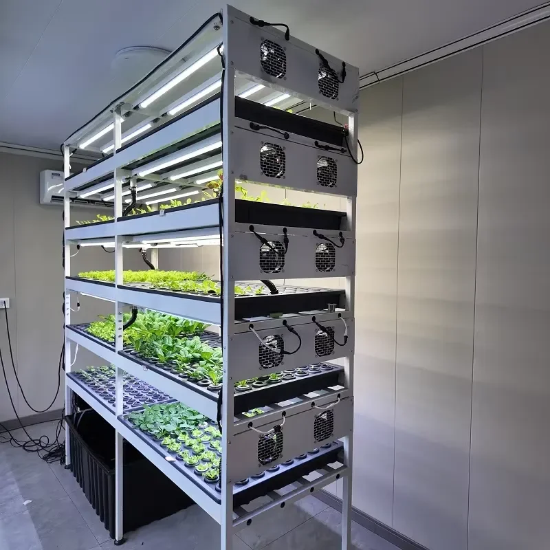 All in One Indoor Smart Garden Hydroponics System with Pump Motor Water Tank and LED Plant Growth Light for Vegetable Fruit