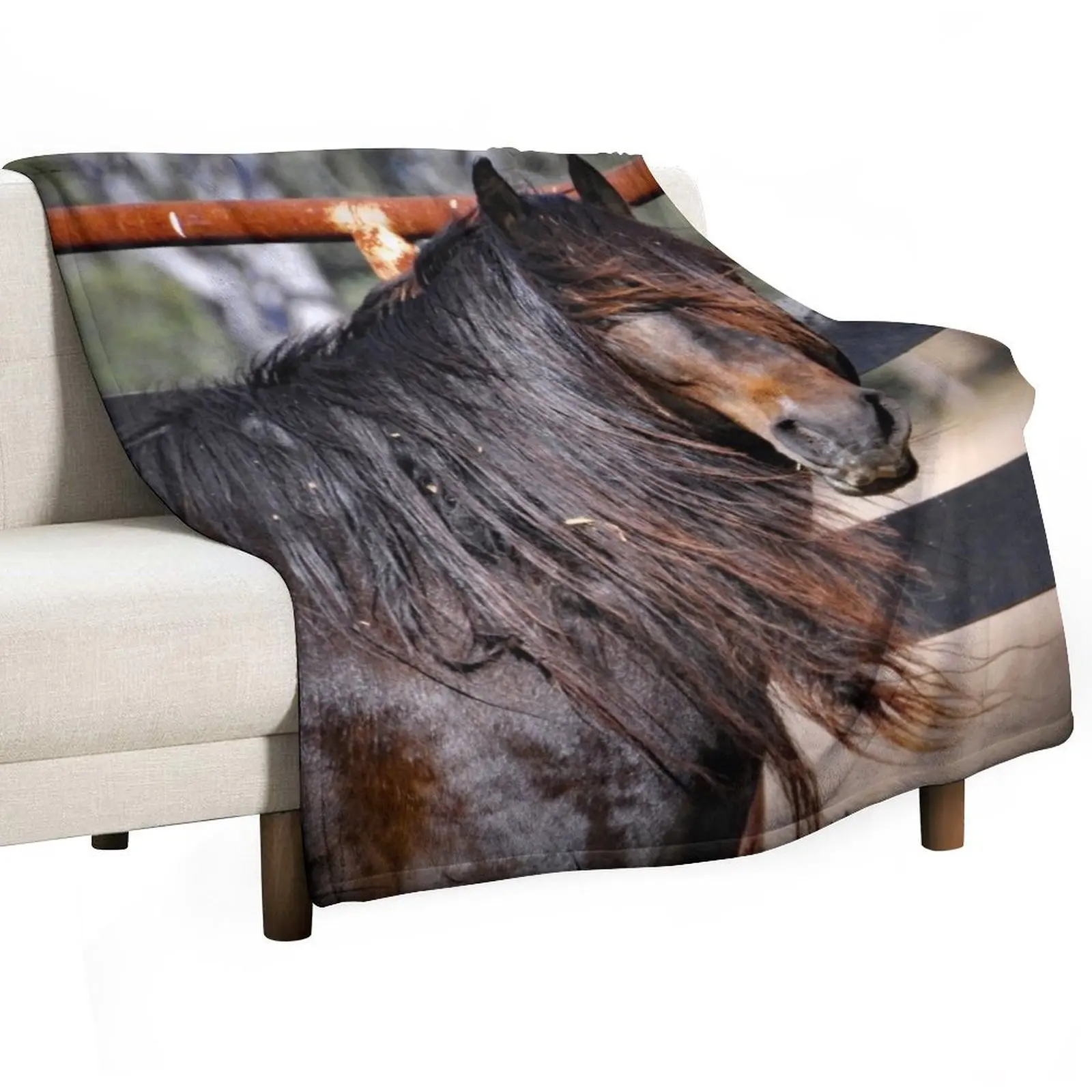 

Australian Brumby Stallion. BRUMBY. Throw Blanket Travel Winter beds Decorative Sofas Bed linens Blankets