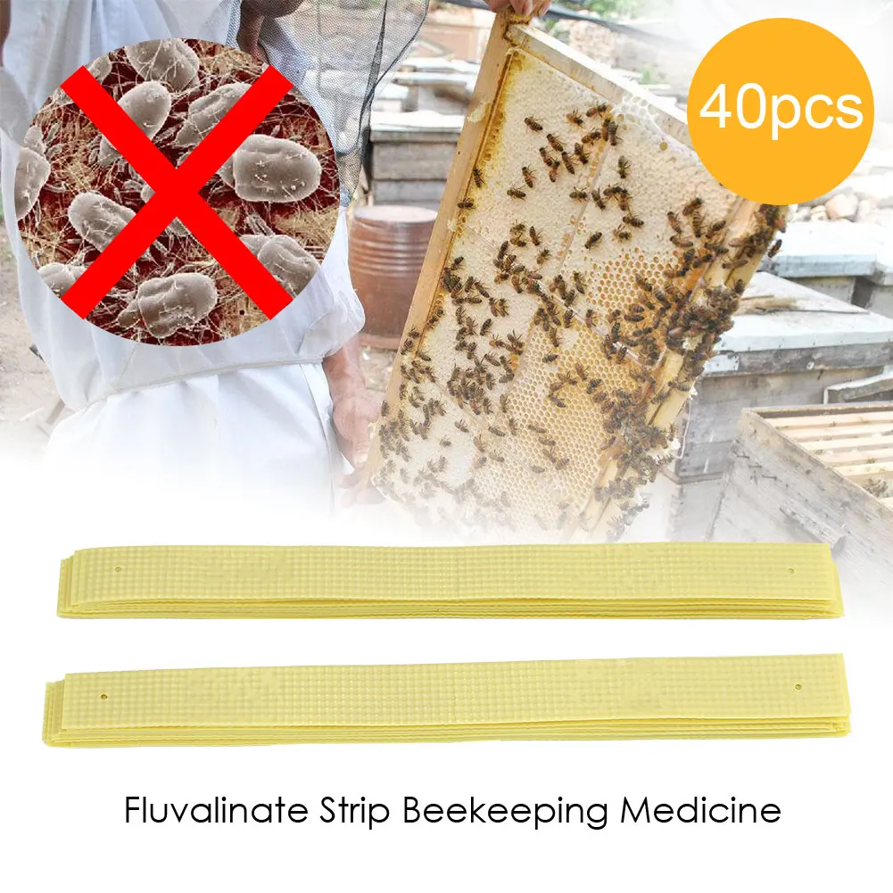 Tiras ManHao tira ácaro de abeja Varroa asesino medicina de apicultura medicina de ácaros de abeja medicina de apicultura