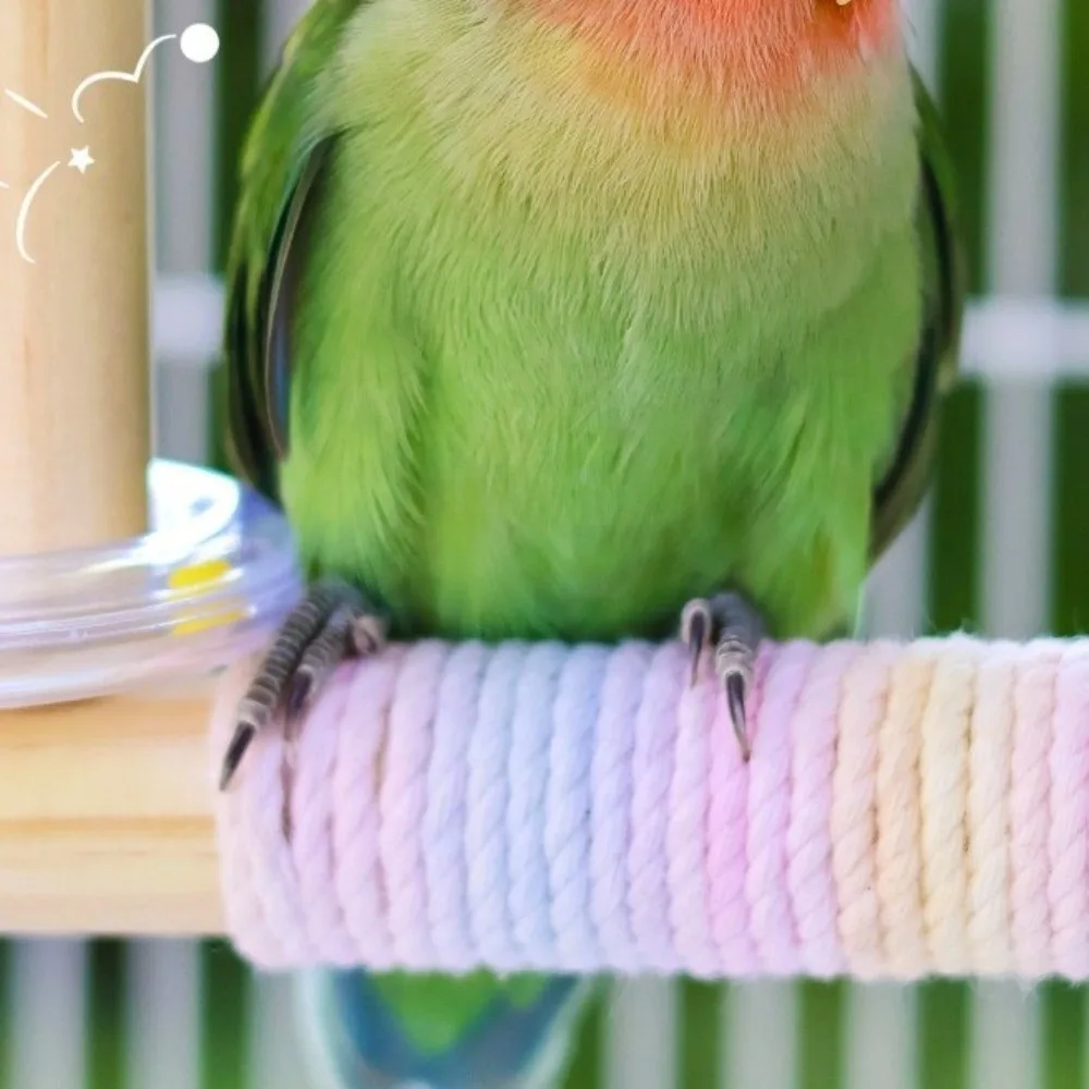 Bite Resistant Wood Parrot Swing Wear-resistant Detachable Bird Stand Toy Comfortable Grip Sturdy Bird Cage Decoration