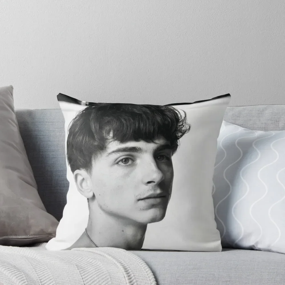 

Timothée Chalamet Throw Pillow Decorative Cushions Christmas Cushion For Home pillow