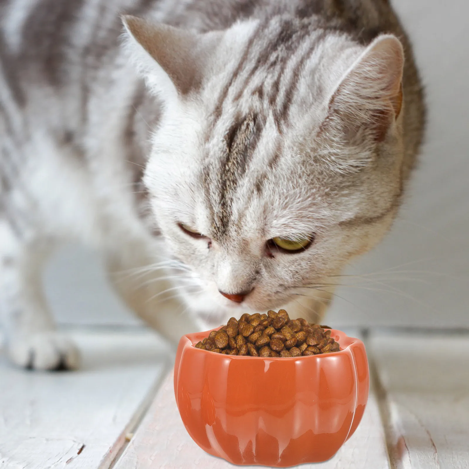 

Ceramic Pumpkin Pet Bowl for Cat Dog Food Water Holder Durable Safe Smooth Edge Practical Feeding Bowl Bowls for Food