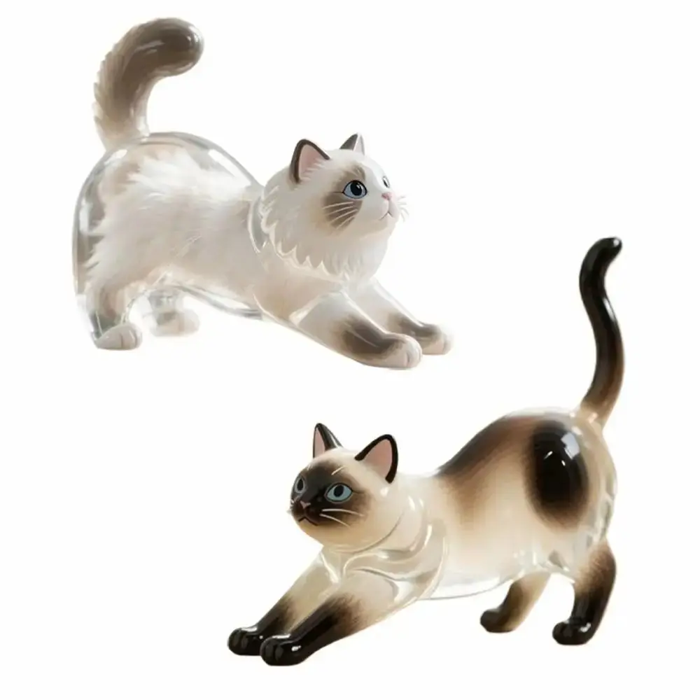 Transparent Cat Hair Acrylic Keychain Animal Shaped Siamese Cat Cat Hair Storage Box Handmade Cute Dog Fur Storage Pendant