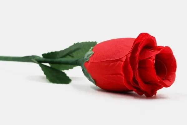 The Fire Rose 2.0 Stage Magic Trick One Rose to Three Roses Disappear Appear Magician Illusion Gimmick Props view 2
