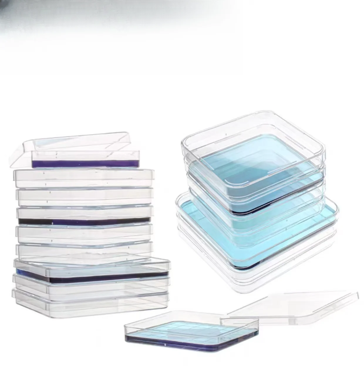 Disposable Plastic Contact Dish Contact Dish 55mm Surface Dish With Scale For Microbial Sampling Plant Contact Sterile Culture