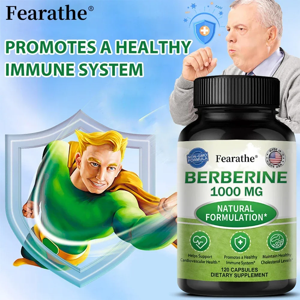 Natural Berberine Capsules Antioxidant Immune System Cholesterol Cardiovascular and Gastrointestinal Function Health Food