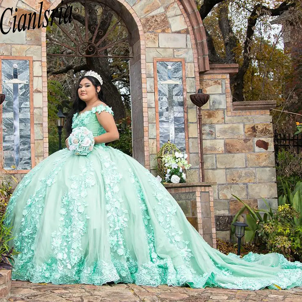 Mint Green 3D Flowers Off The Shoulder Quinceanera Dress Ball Gown Appliques Lace Princess Sweet 15 16 Birthday Party Formal