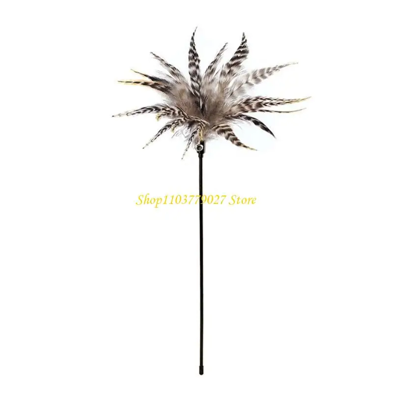 C4DF Toy Wand Kitten Teaser Catkins Tassel Interactive Toy Wire Chasing Wand Toy Color Matching
