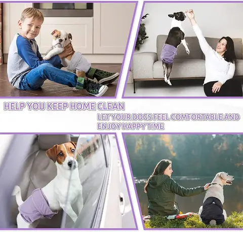 12 best sales बॉक्सर कुत्ता - №4