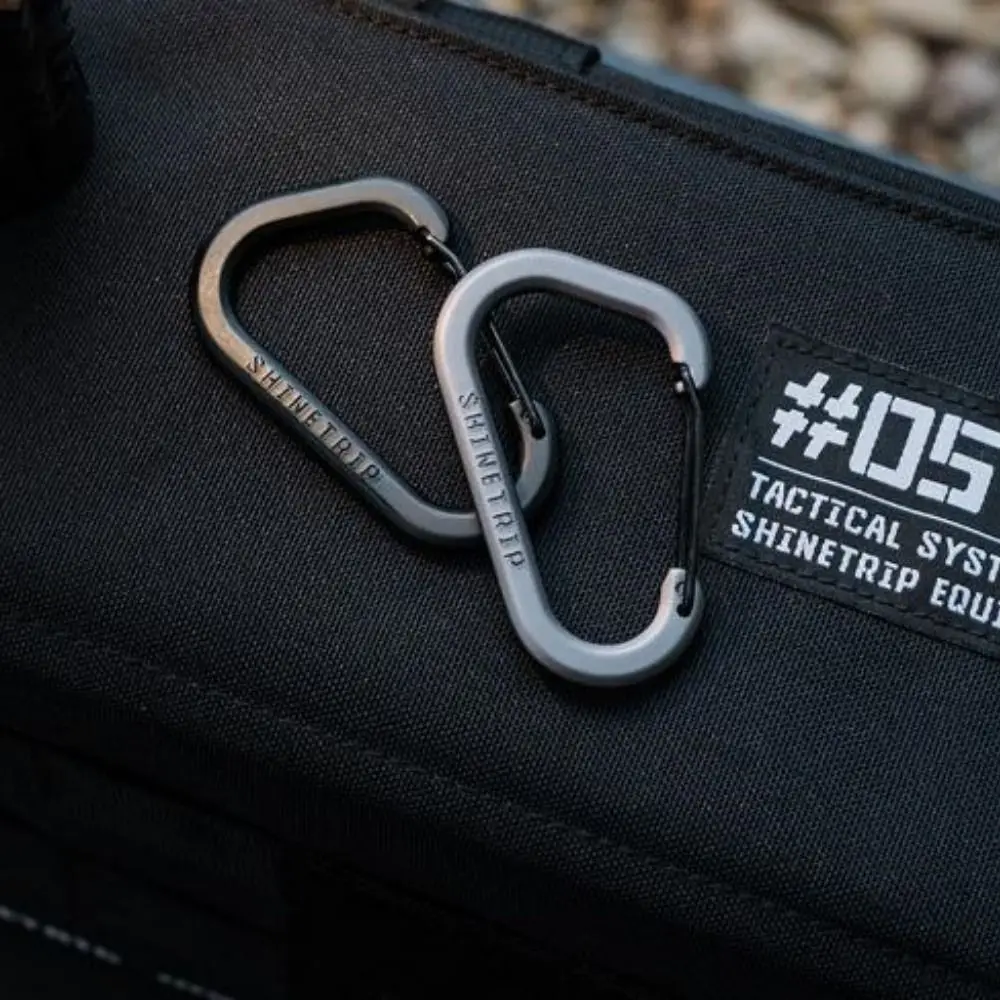 2pcs Stainless Steel Spring Snap Hook Safety Metal D-shaped Connection Buckle Carabiner Black/Grey Small Tool Storage