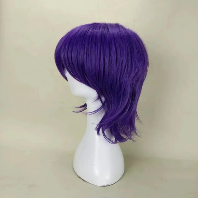 HAIRJOY Synthetic Hair  Dark Purple Red Cosplay Wig Short Straight  Layered Party Wigs with Bangs for Men and Women