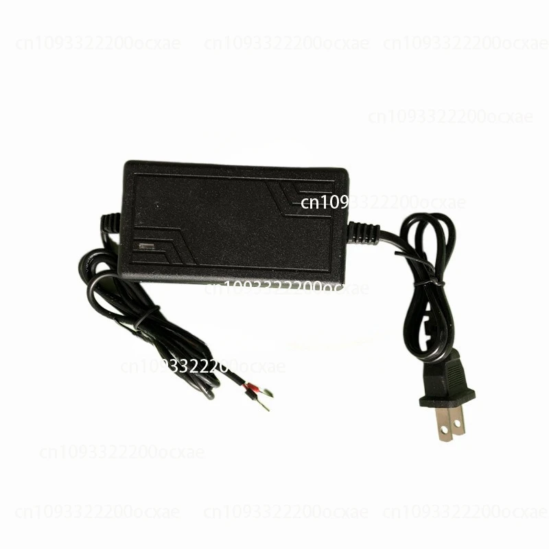 

24V2A dual-wire power adapter DC regulated switching power supply with industrial switch