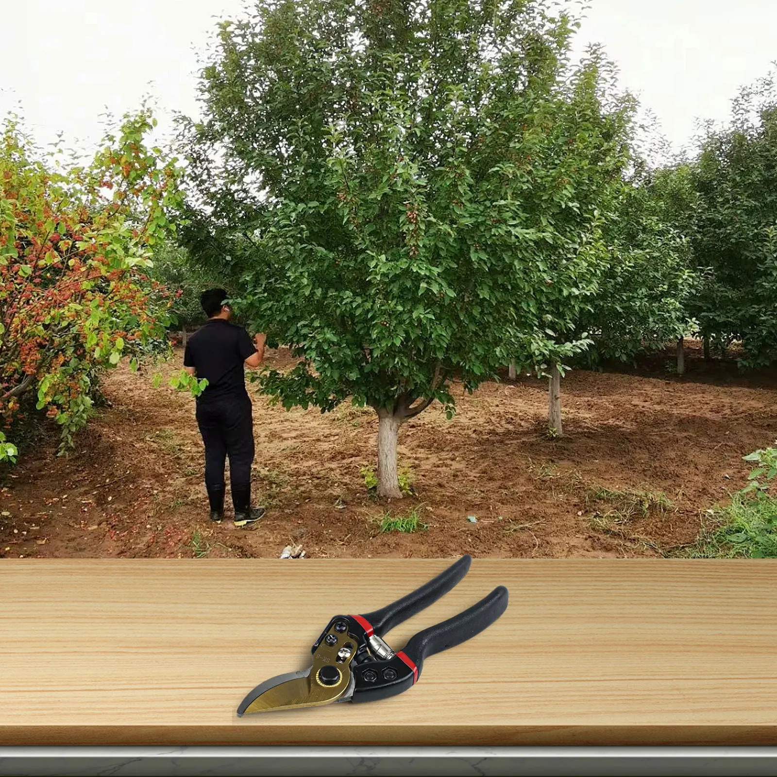 Fruit Tree Pruning Shears Bonsai Professional Shears Garden Nursery Alloy Material Effortless Cutting For Bonsai