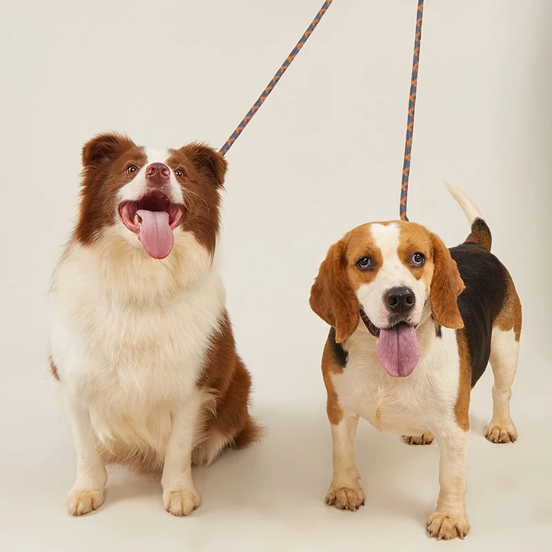 CAWAYI KENNEL-cadena reflectante de nailon con doble correa para mascotas, cuerda de tracción para correr, manos libres, perro grande