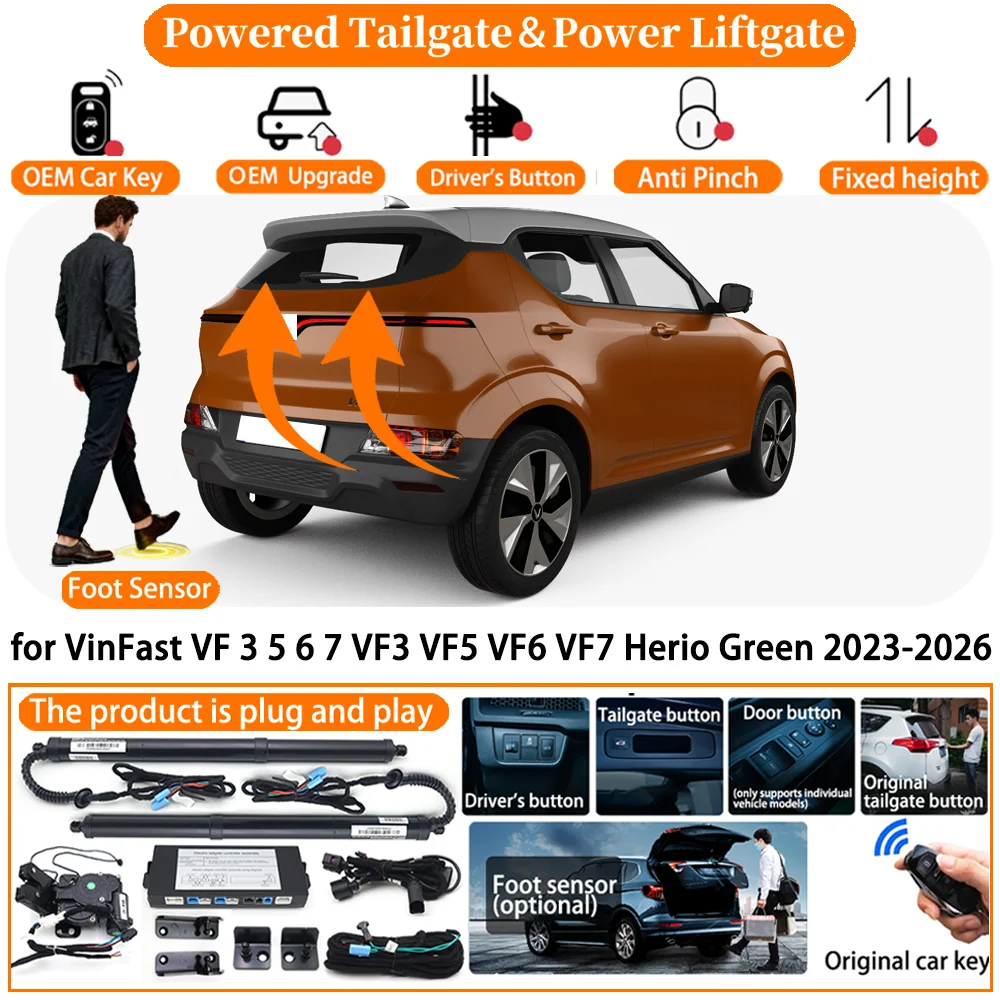 Powered Tailgate Fo…