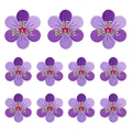 PE10165CT
