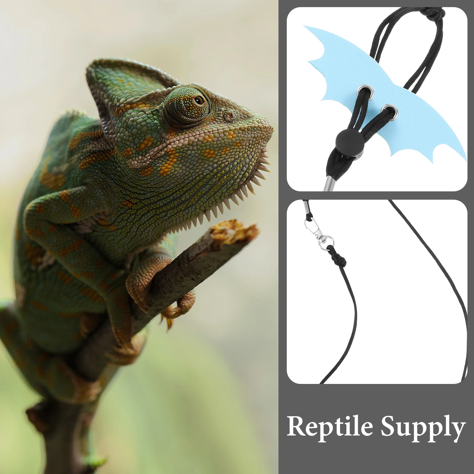 

1Set Comfortable Lizard Leash and Harness Secure Closure System Reptile Traction Rope Bearded Dragon Accessories