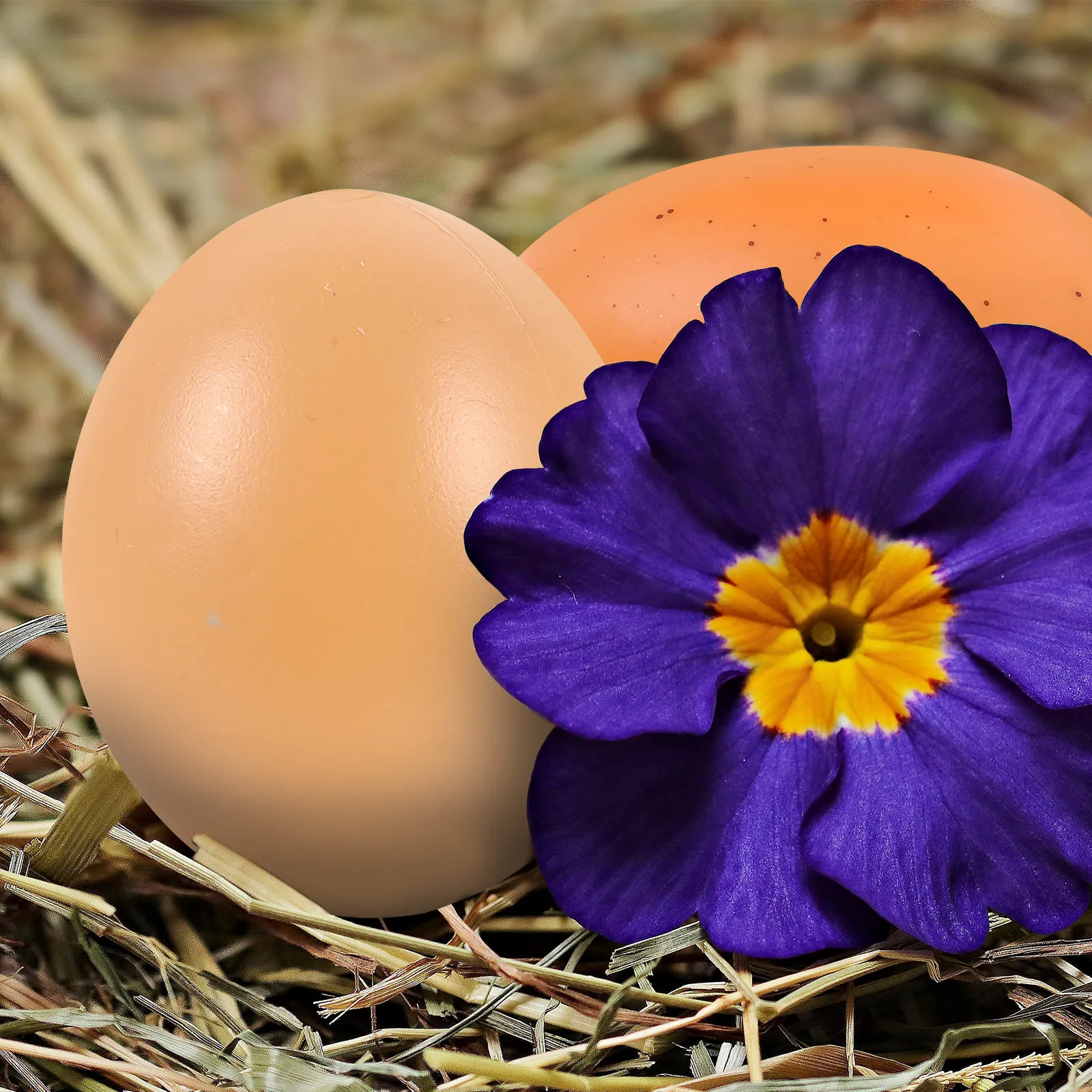 

4Pcs Simulation Foam Eggs Beautifully Polished Smooth Shape for Easter Decor Kids Art Craft Activities DIY Painting Creative