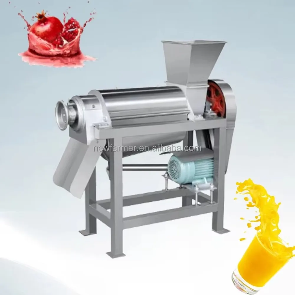 Commercial Stainless Steel Automatic Cold Press Juicer for Passion Fruit Ginger Lemon Mango for Apple Pomegranate Fruit