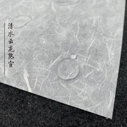 10 arkuszy przezroczysty chiński papier ryżowy Qingshui obraz z kaligrafią papier morwy długie włókno Xuan Zhi Gongbi Xiao Kai sumi-e