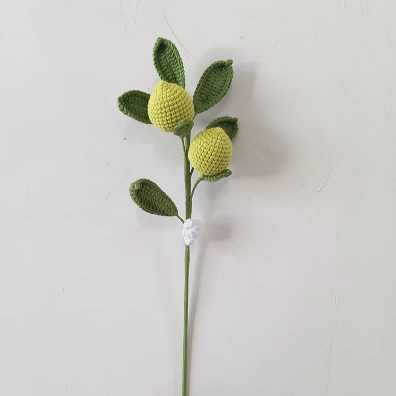 Fertig gehäkelte Fruchtzweige, kreativer handgemachter Frucht-Blumenstrauß, künstliche Pflanzen zur Raumdekoration – Detail 5
