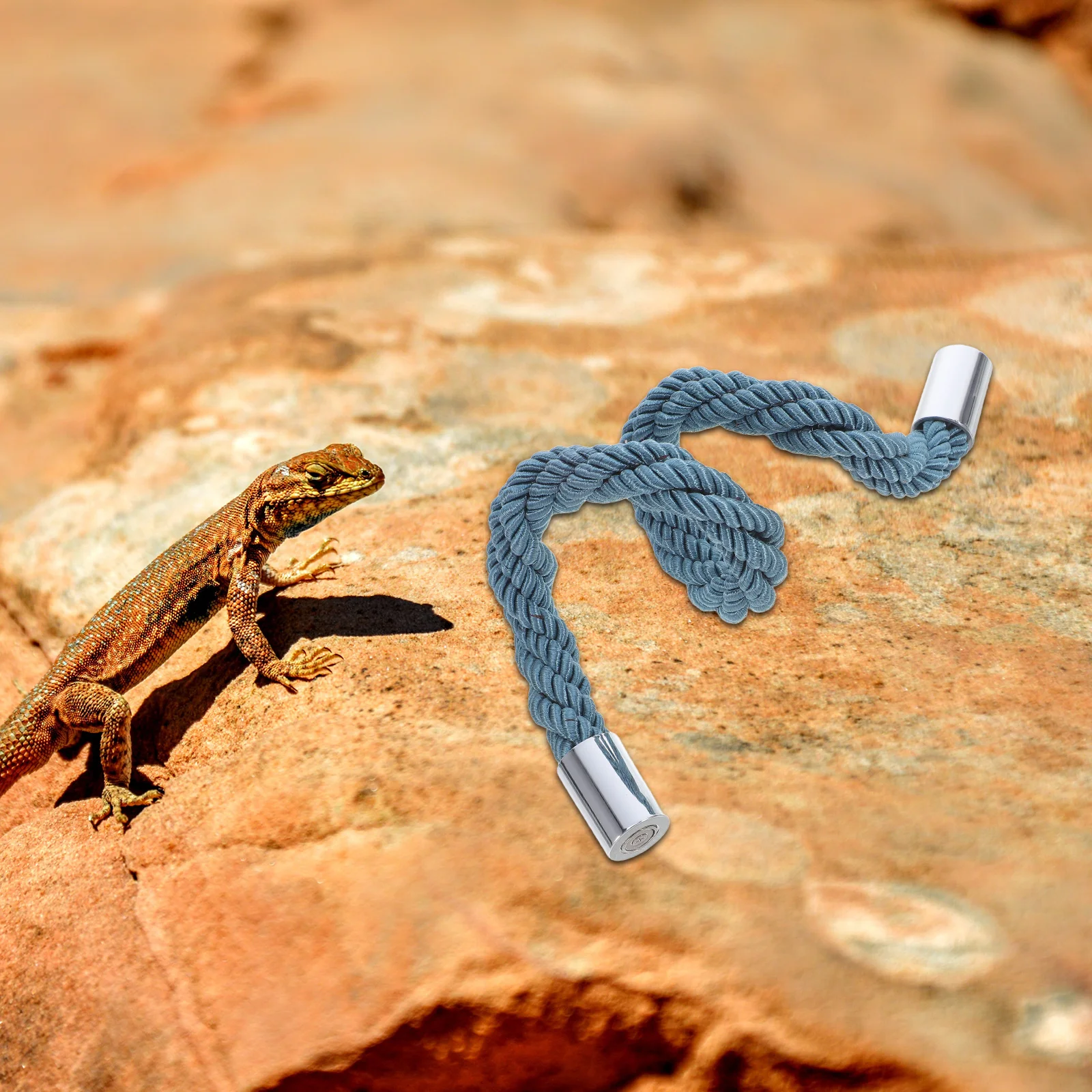 

Reptile Climbing Rope For Terrarium Multi-Functional Swing Bearded Dragon Hermit Crab Lizard Cage Accessories Reptile Tank Rope