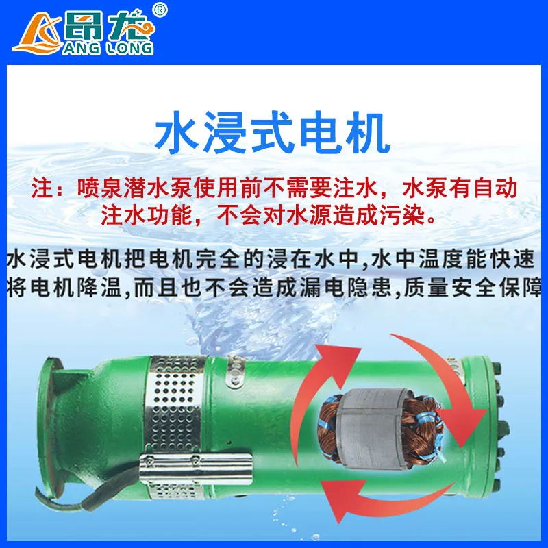 Pompe à eau de circulation à haute température d'eau, pompe de paysage de plongée de fontaine musicale