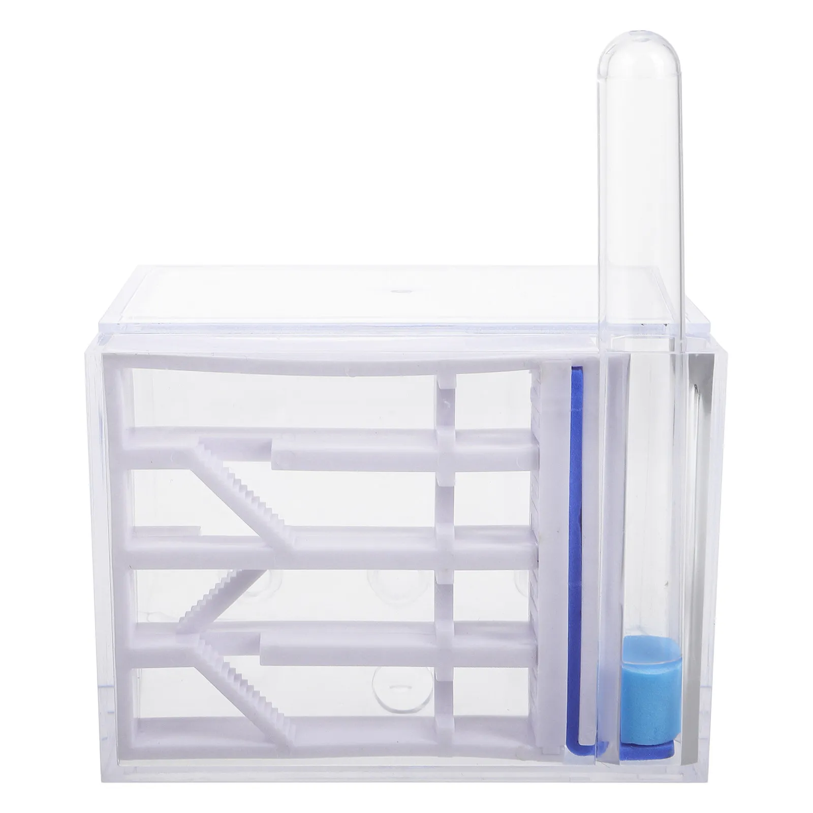 

Ants Castle Acrylic Nest Farm Live Colony Observation Kit Stem Science Educational Project for Kids Students Adults Interactive